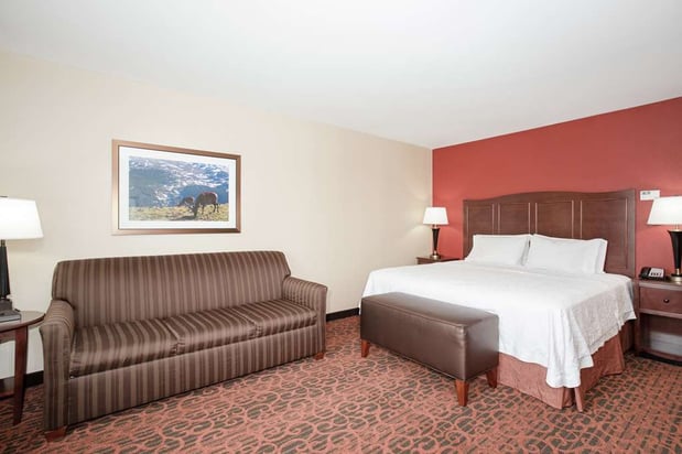 Images Hampton Inn & Suites Denver/South-RidgeGate