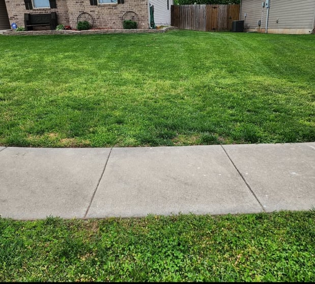 Images Cooks Lawn Care Service