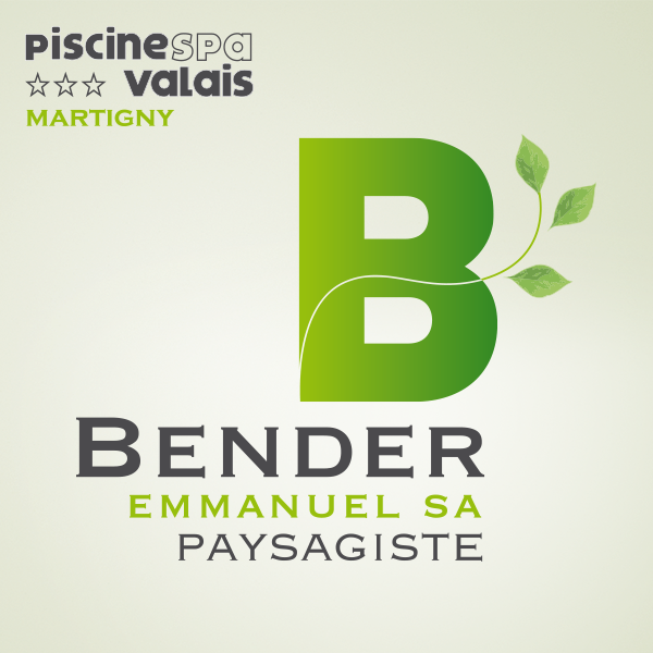 Bender Emmanuel SA Logo