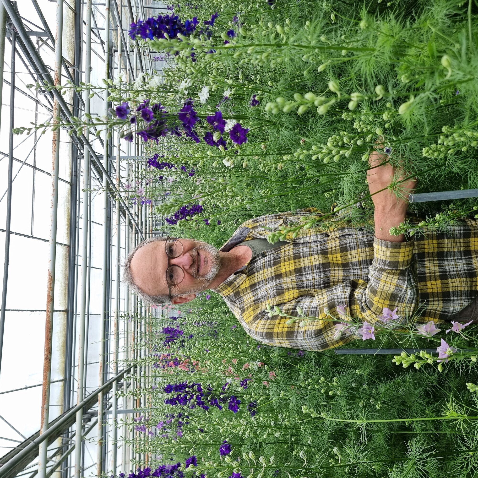 Floralita, Tiefenauer Straße 116a in Sinzheim