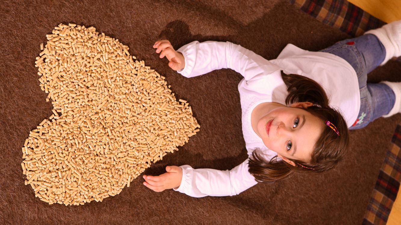 Bild 6 von RZ Pellets Sollenau GmbH - Pellets made in Austria