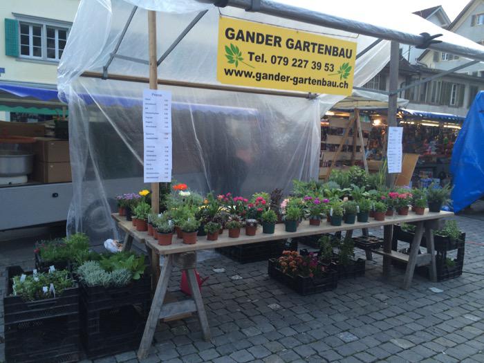 Bilder Gander Gartenbau