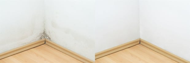 Images HomeBlu