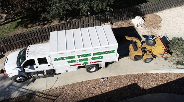 Images Action Tree Service