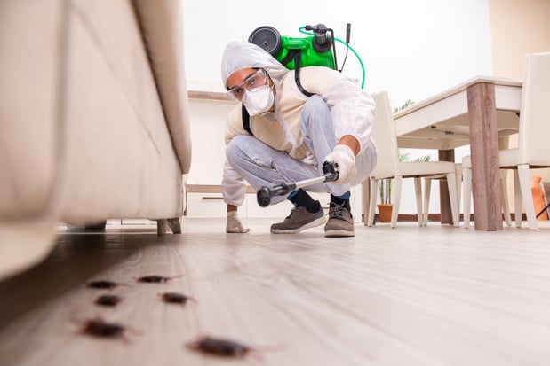 Images Gabriel & Sons Pest Control