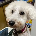 Images たまとポチ 宇津木店