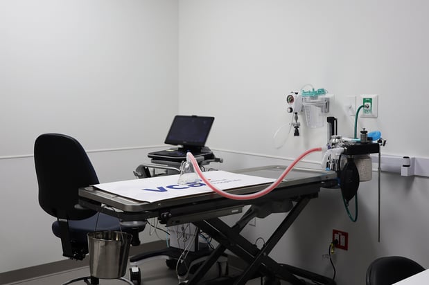 Images VCA Emergency Animal Hospital & Referral Center