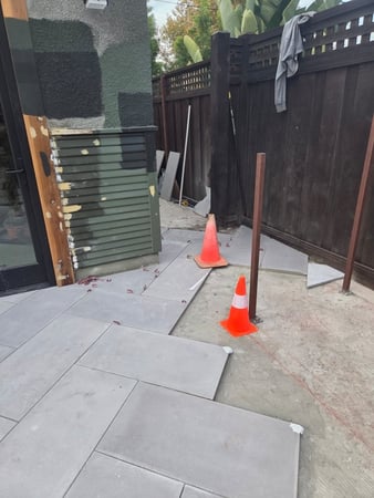 Images Growing Green Em