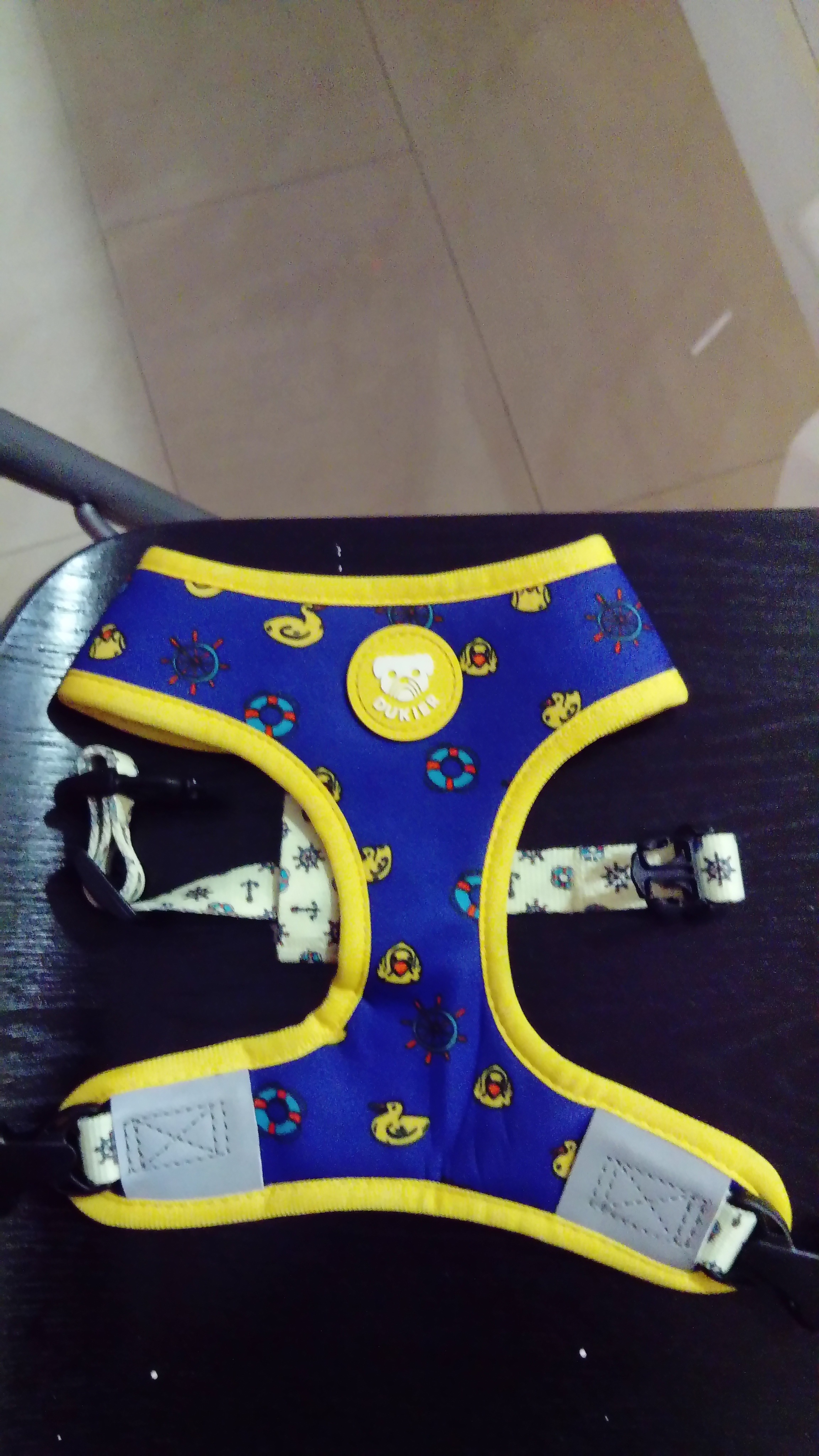 Images Incondicional Castellón - Peluquería canina y tienda de artículos para mascotas