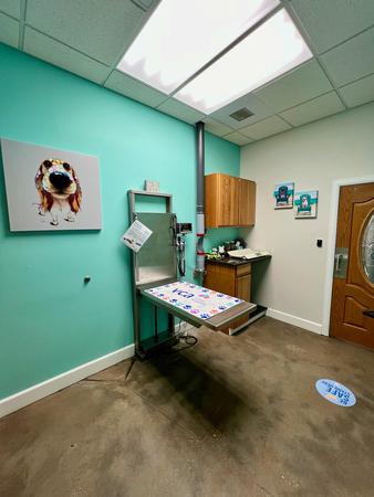Images VCA Noah’s Place Animal Medical Center