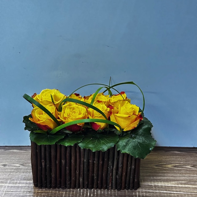 Images Jane's Roses & Flowers