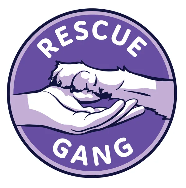 Image of Local Pet Event Rescue Gang Event at Bark n Scratch Outpost Nearby