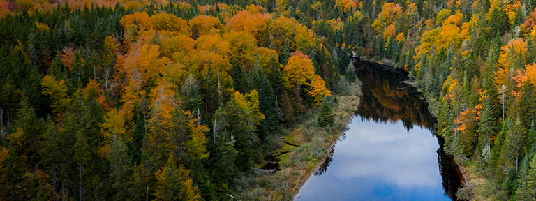 Aerial view of a river running through an autumn forest.