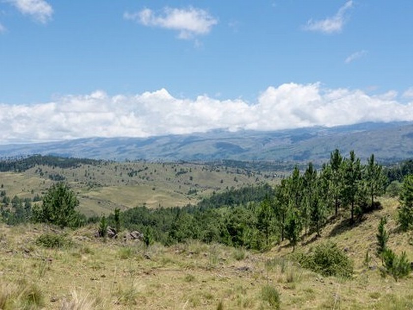 Images Inmobiliaria Virtual