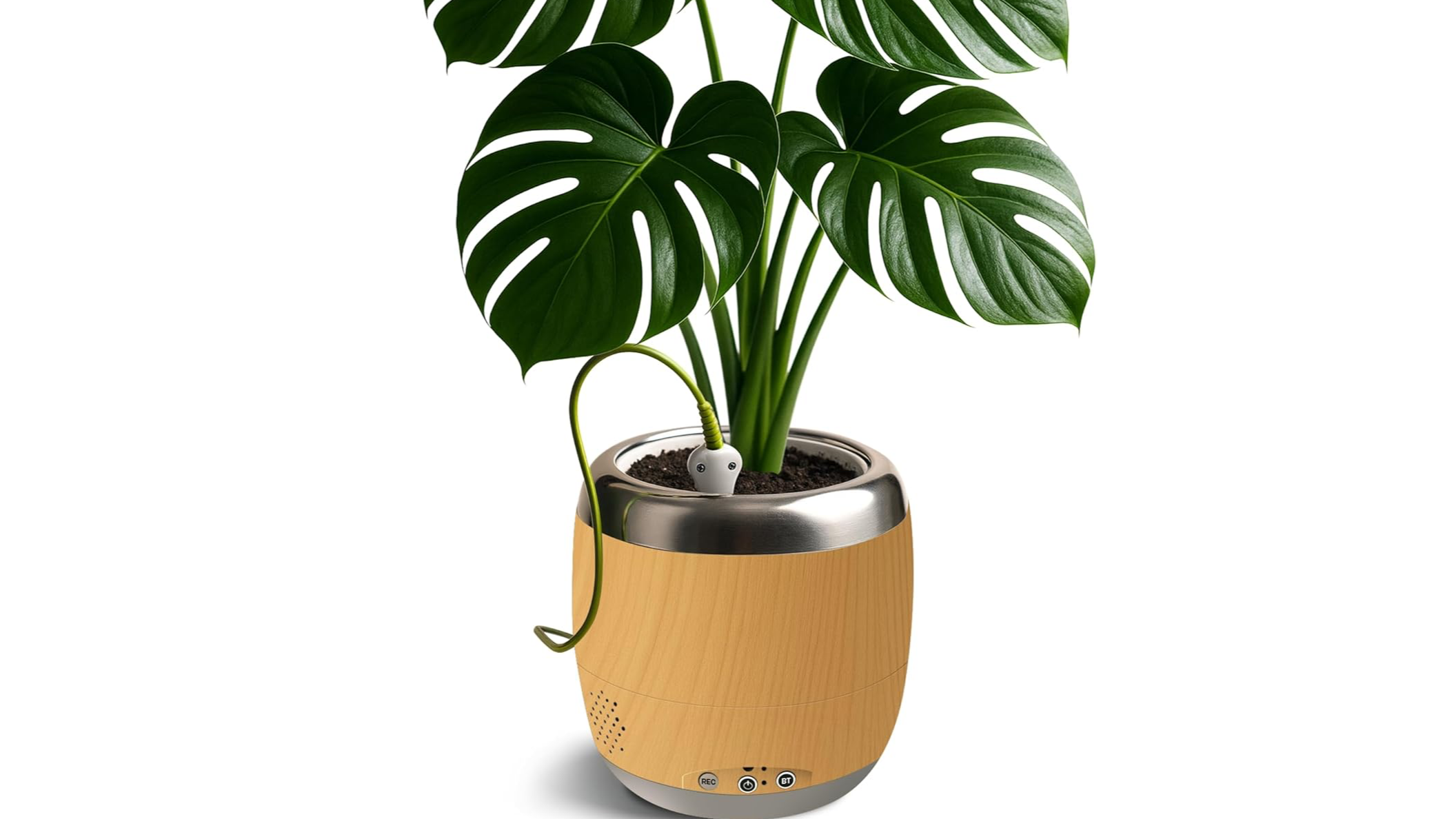 Bilder hello tomorrow UG (haftungsbeschränkt)