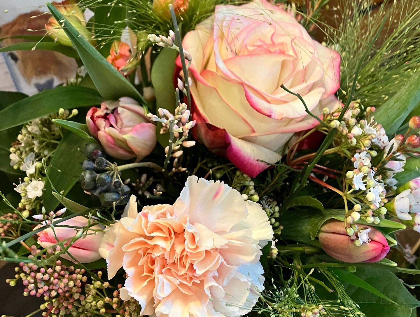 Bilder Fleurs d'Elfes