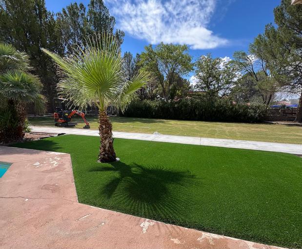 Images Purchase Green Artificial Grass