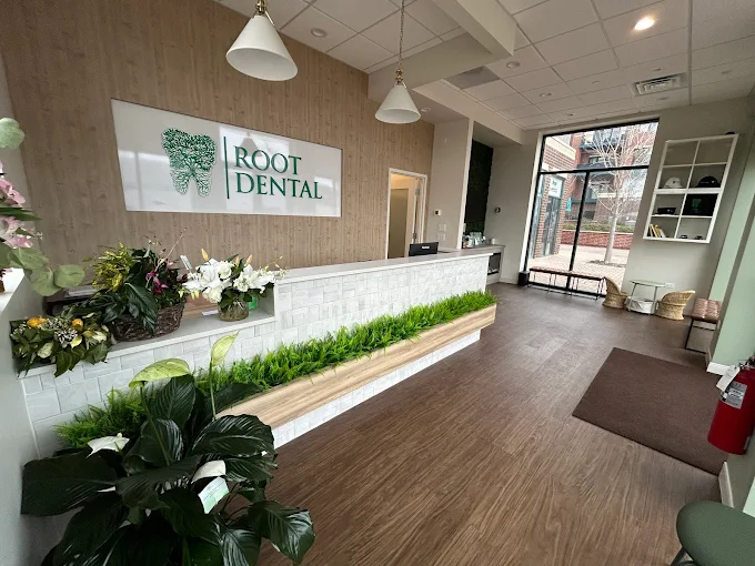 Root Dental Image