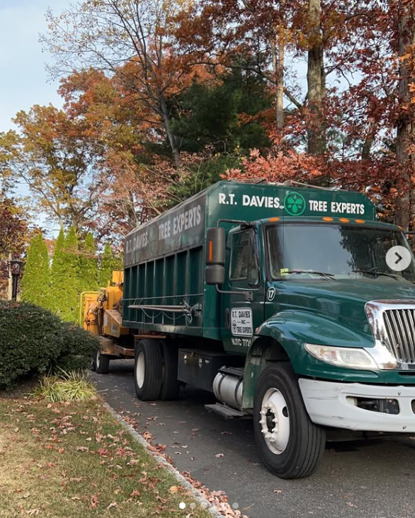 Images R.T. Davies Inc. Tree Experts