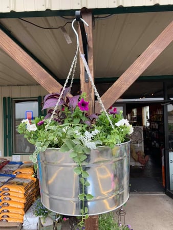 Images S & H Nursery
