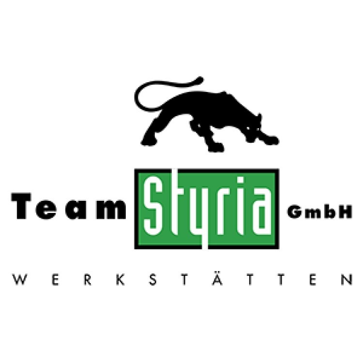 Team Styria Werkstätten GmbH Logo