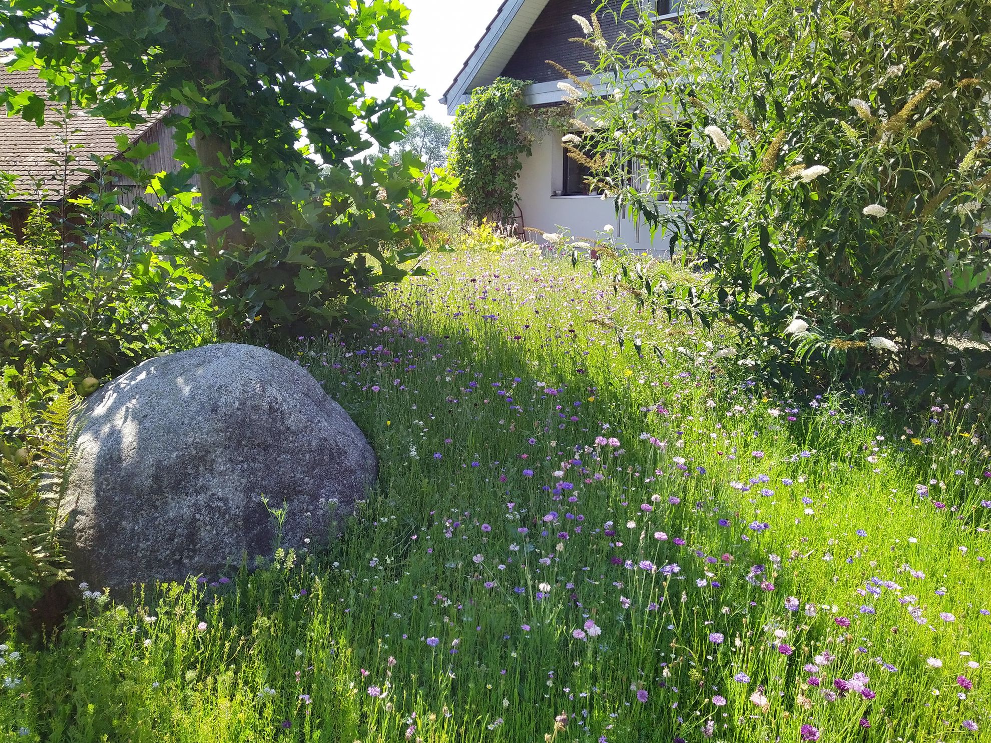 Bilder Chraftgrüen GmbH