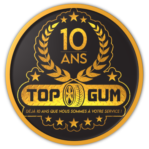 TOP-GUM Logo
