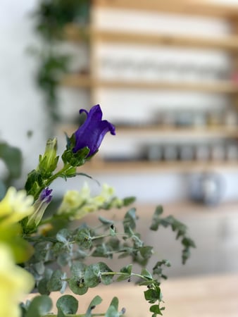 Images Aoki Head Spa & Skin