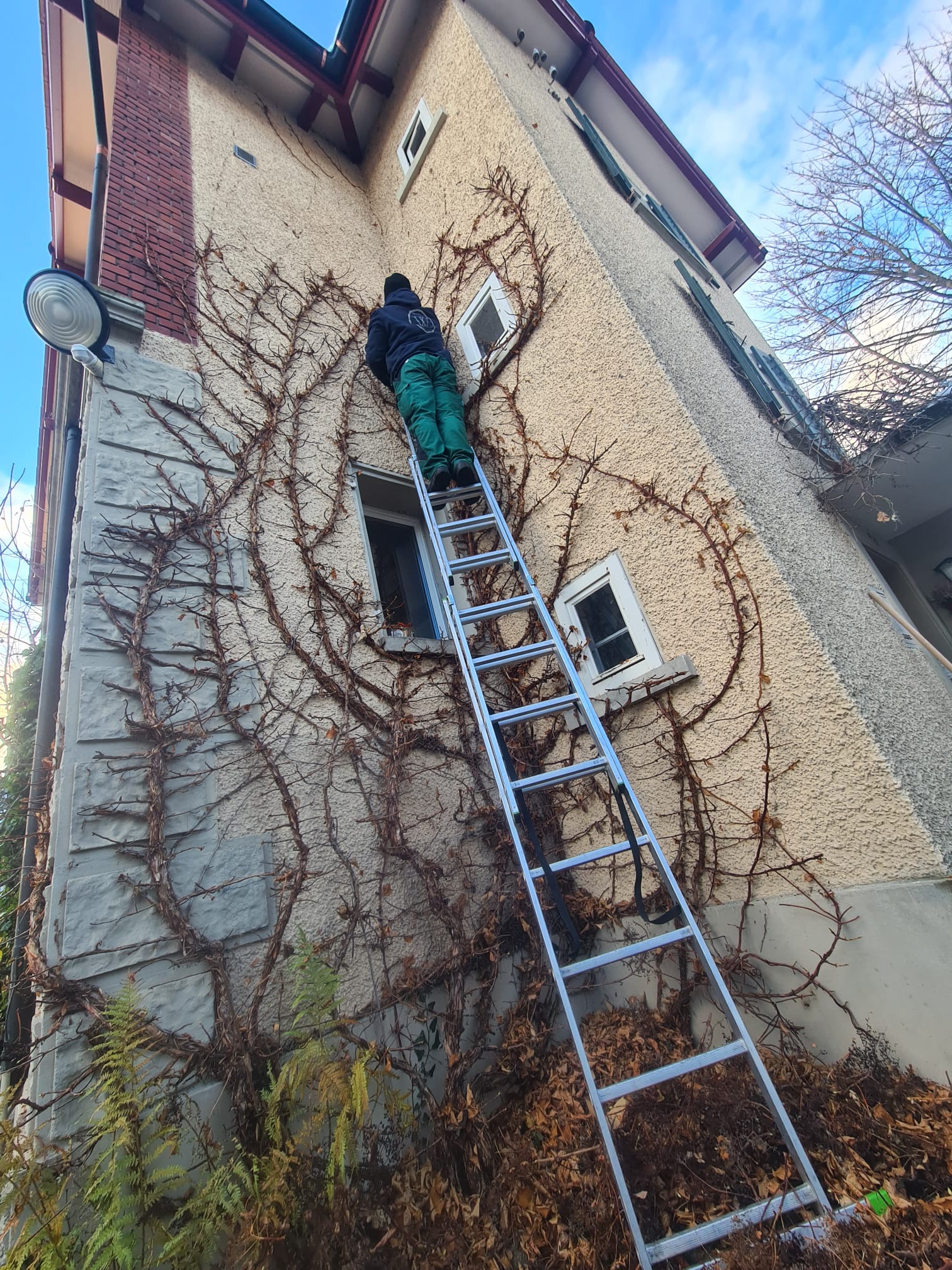 Walder's Hauswartung & Gartenunterhalt AG, Berglistrasse 7 in Wetzikon ZH