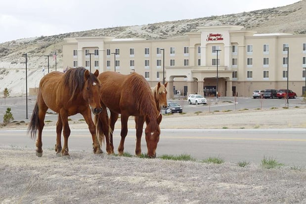 Images Hampton Inn & Suites Green River