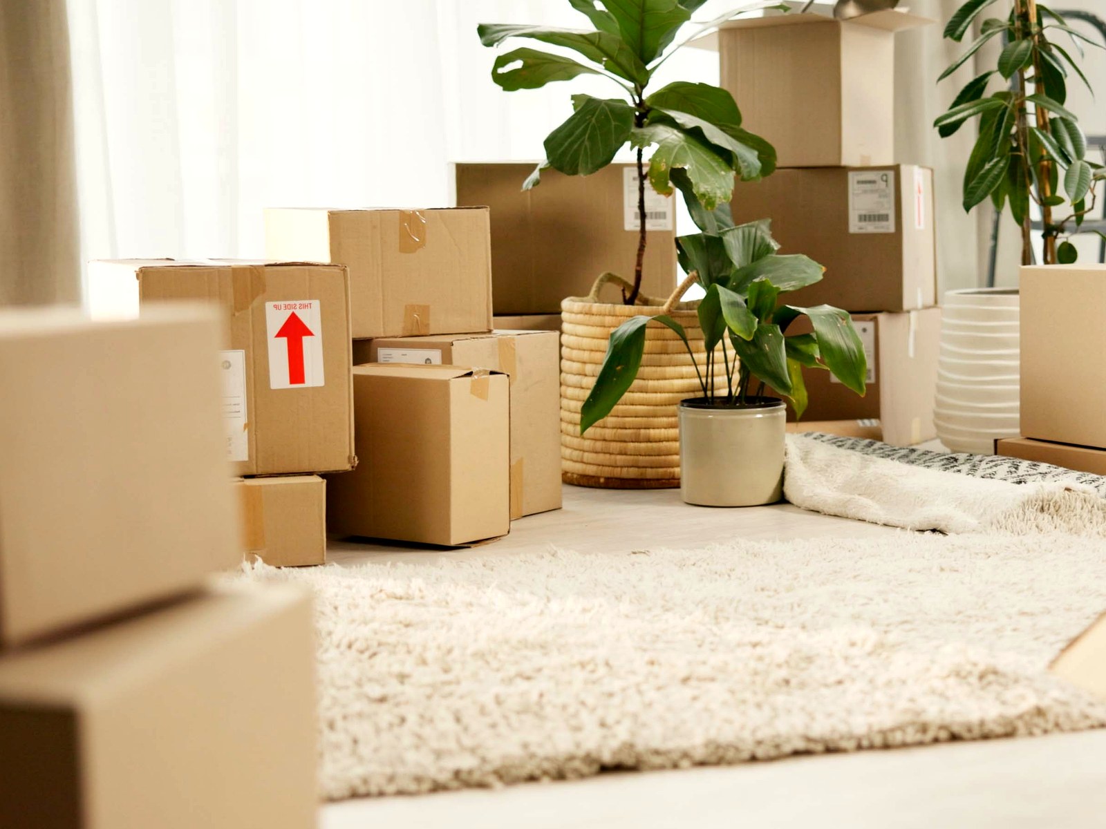Fargo You Load Long- Distance Moving