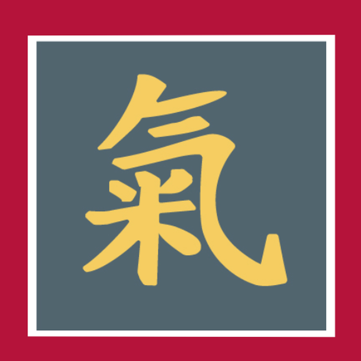 Bild 13 von Österreichische Gesellschaft für kontrollierte Akupunktur