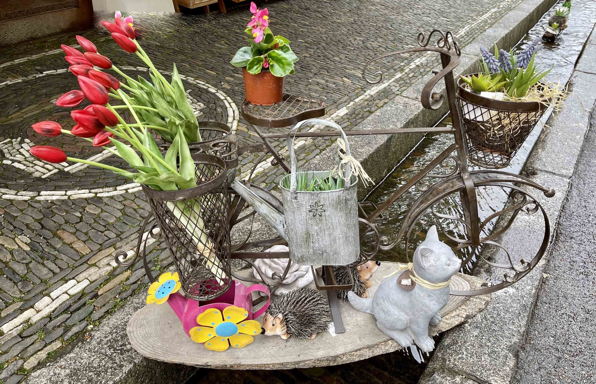 Freiburg-Guide in Freiburg Im Breisgau