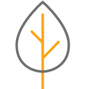 Leaf icon.