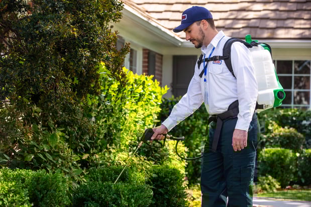 Images Clark Pest Control
