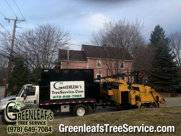 Greenleaf's Tree Service Photo