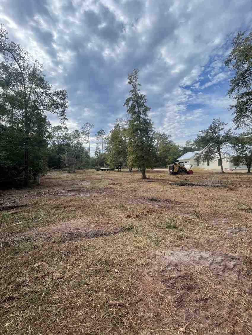 Open residential acreage after vegetation removal and brush clearing, creating usable land while maintaining selected trees and enhancing property appearance, accessibility, safety, and preparation for future improvements.