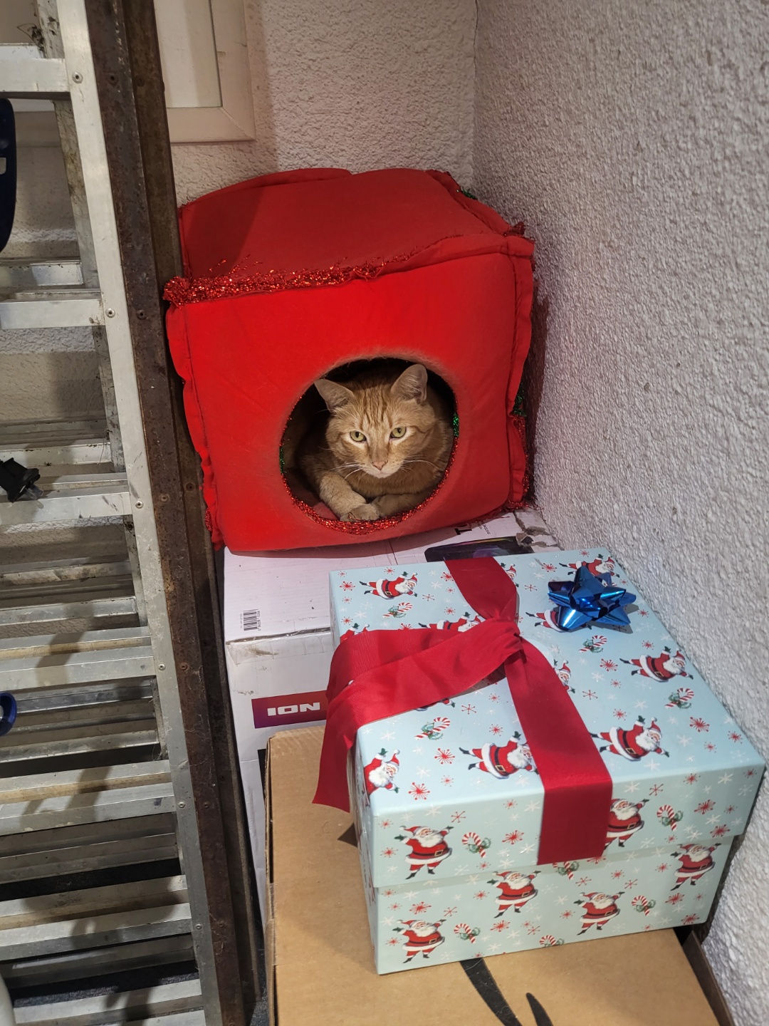 Images Redwater Auto Parts