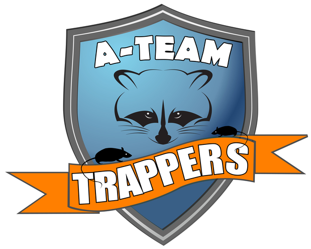Images A-Team Trappers