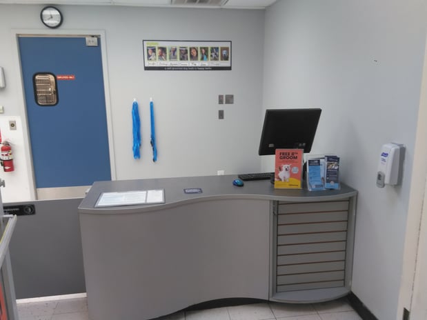 Images Petco Grooming