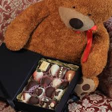 Bilder 