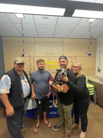 Images VCA West Los Angeles Animal Hospital