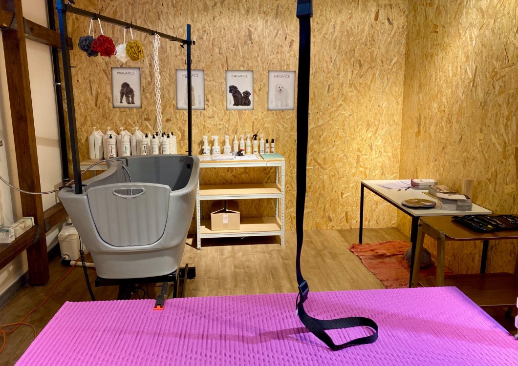 Hundefrisör Saalfelden, Zeller Bundesstraße 17 in Saalfelden am Steinernen Meer