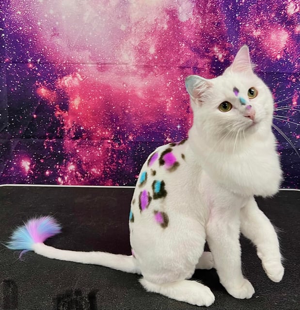 Images Galaxy Grooming