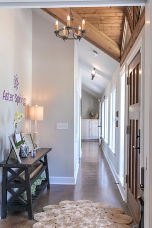 Images Aster Springs - Nashville