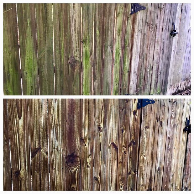 Images Window Hero Durham/Chapel Hill