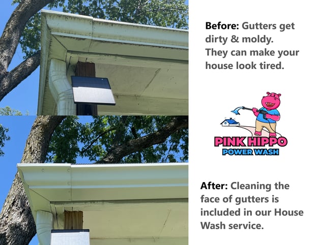 Images Pink Hippo Power Wash