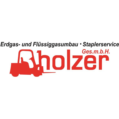 Holzer Ges.m.b.H Logo