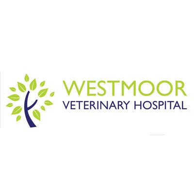 Westmoor Veterinary Hospital - Tavistock Tavistock 01822 612561