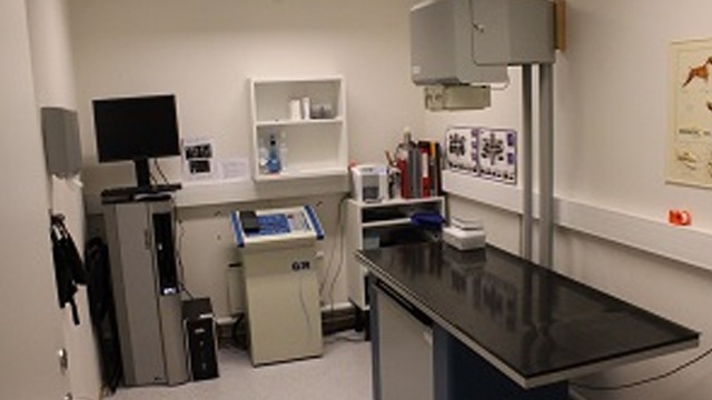 Images Stokke Dyreklinikk AS